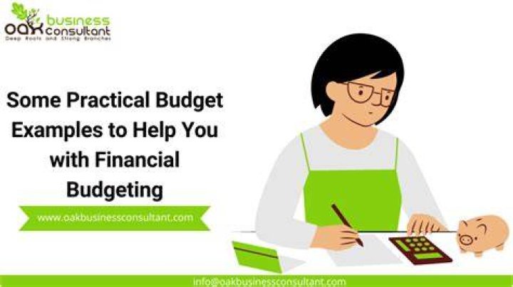 What are some examples of a budget?