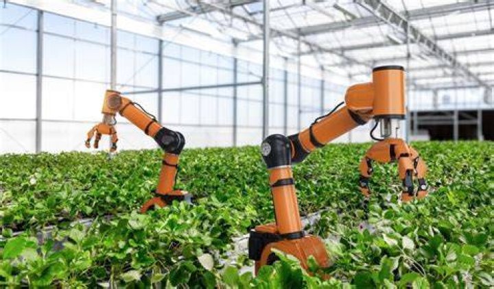 What are some examples of agricultural innovations?