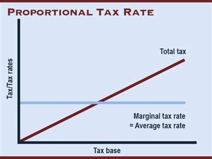 What are some examples of proportional taxes?