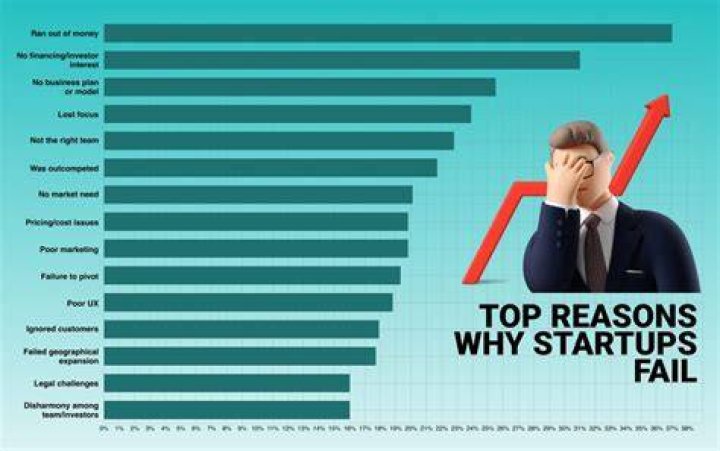 What are some of the main reasons why start up businesses either succeed or fail?