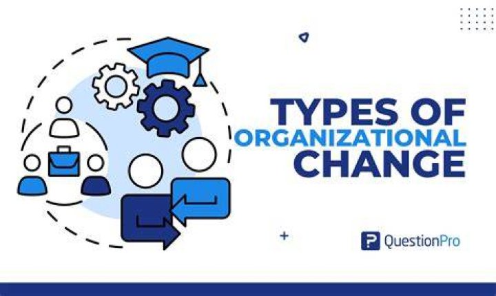What are some organizational changes?