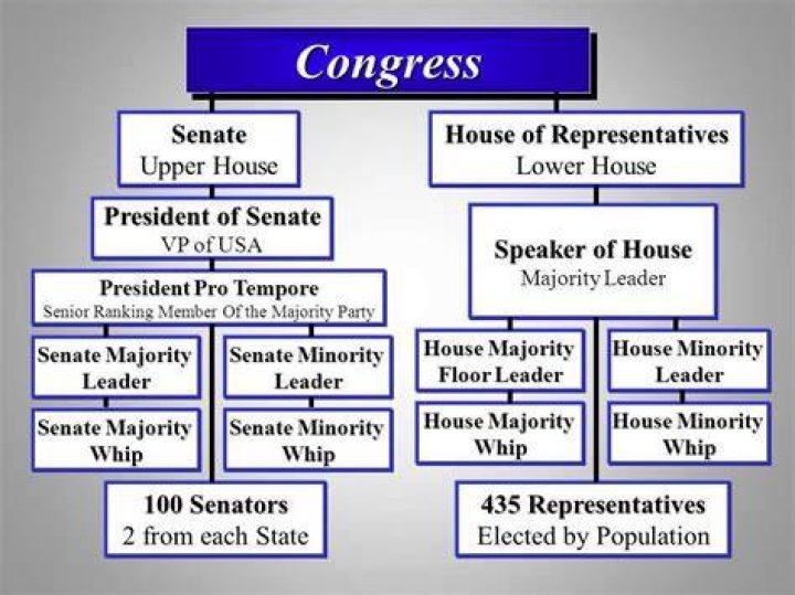 What are some privileges of members of Congress?