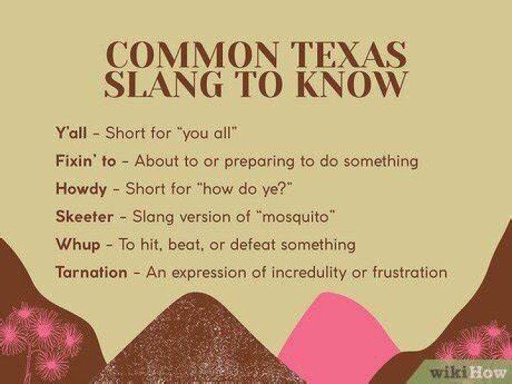 What are some Texas slang words?