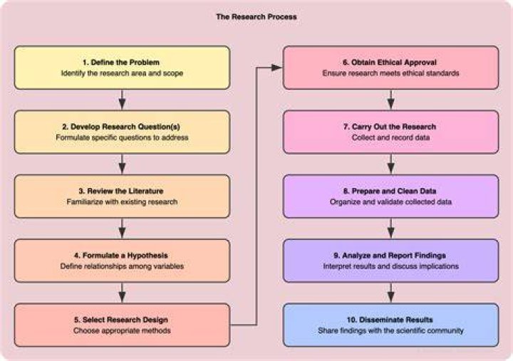 What are the 11 research process?