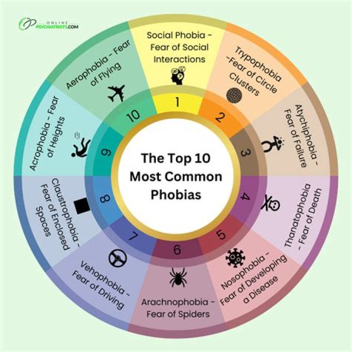What are the 20 most common phobias?