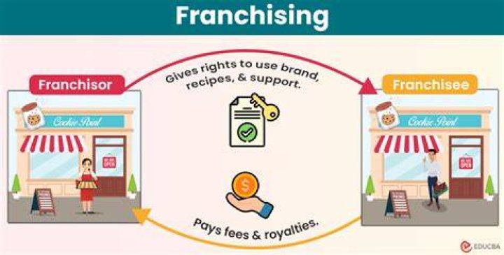What are the 3 basic types of franchising?