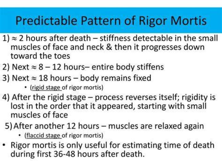 What are the 3 stages of rigor mortis?