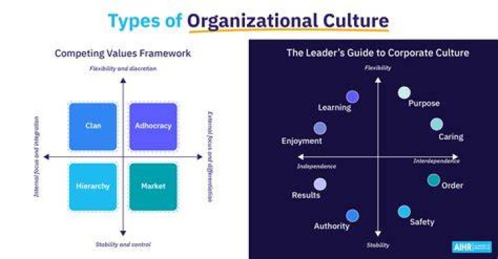 What are the 3 types of culture?
