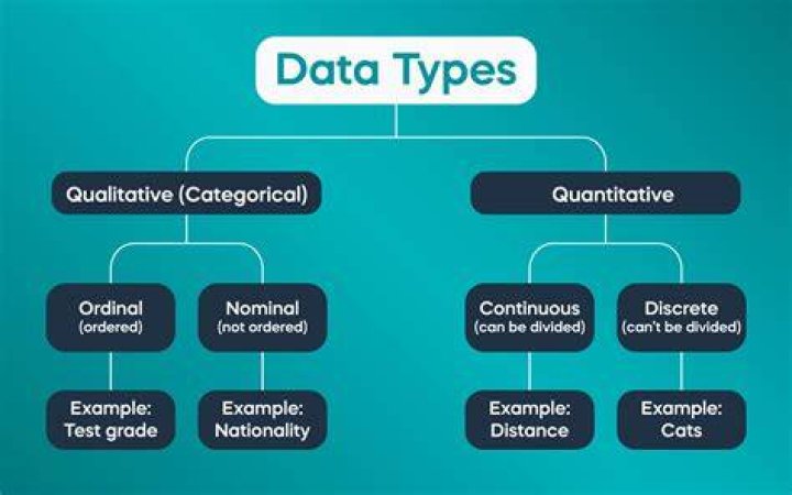 What are the 3 types of data?