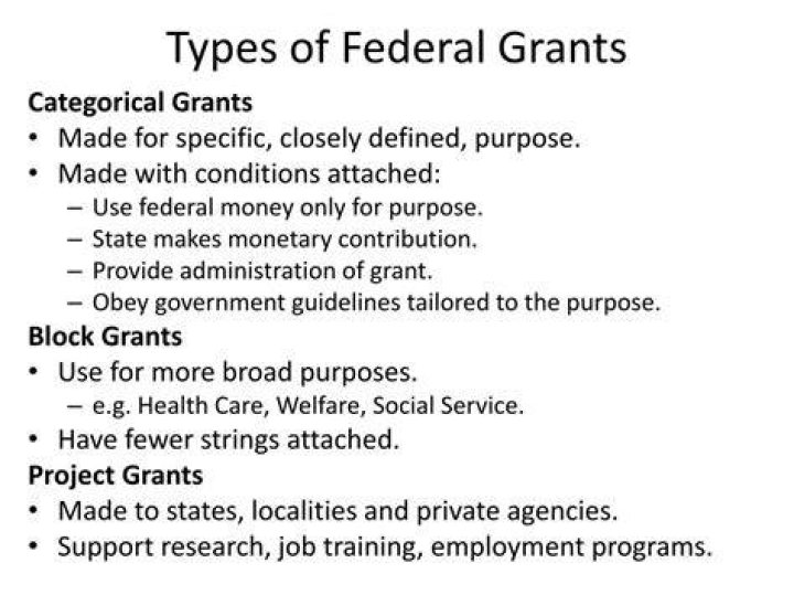 What are the 3 types of federal grants?