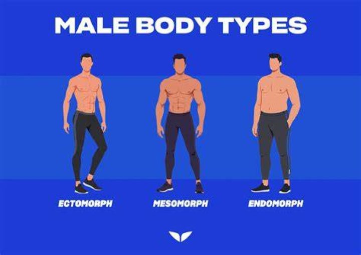 What are the 3 types of males?