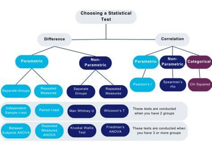 What are the 3 types of t-tests?