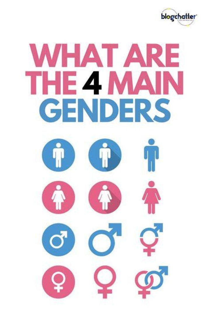 What are the 4 main genders?