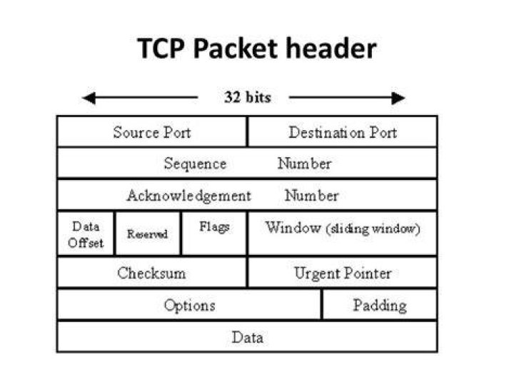 What are the 4 parts of a packet?