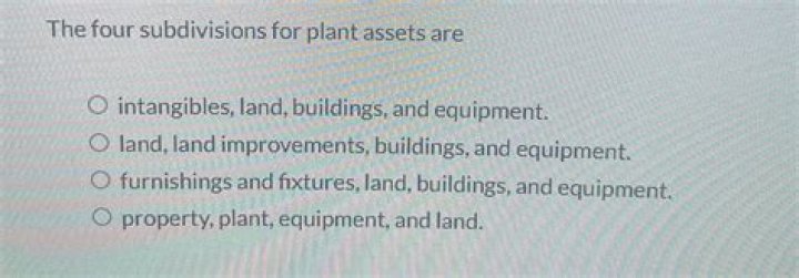What are the 4 subdivisions of plant assets?