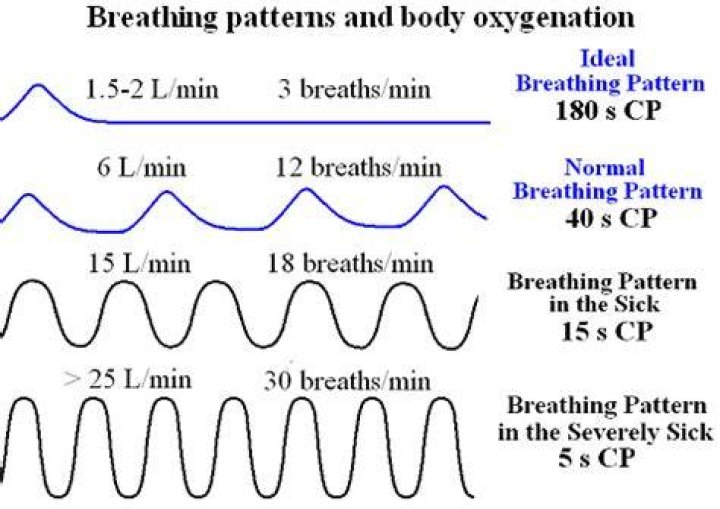 What are the 4 types of breathing?