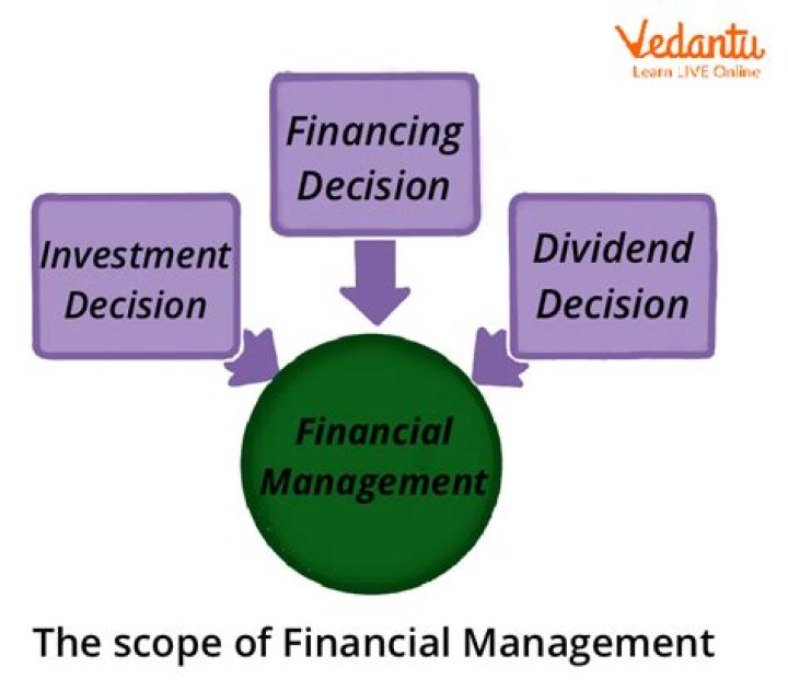 What are the 4 types of financial management?