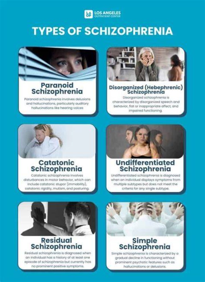 What are the 5 different types of schizophrenia?