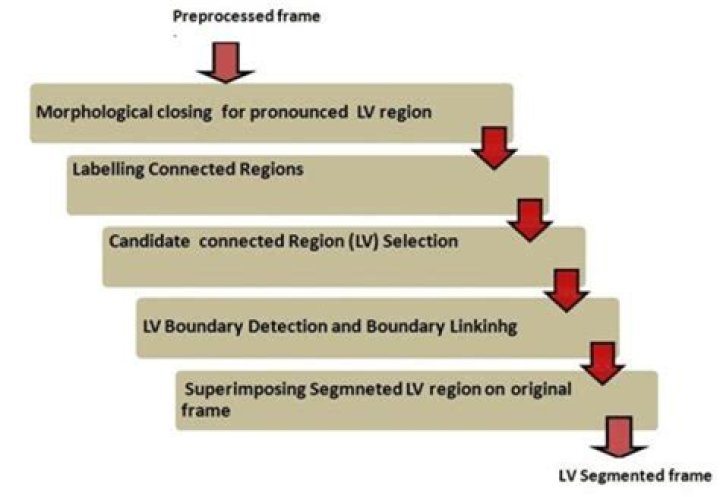 What are the 5 primary steps of segmentation?