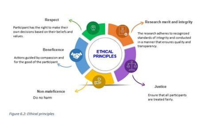 What are the 6 ethical principles of research?