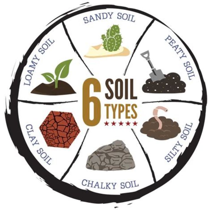 What are the 6 types of soil?
