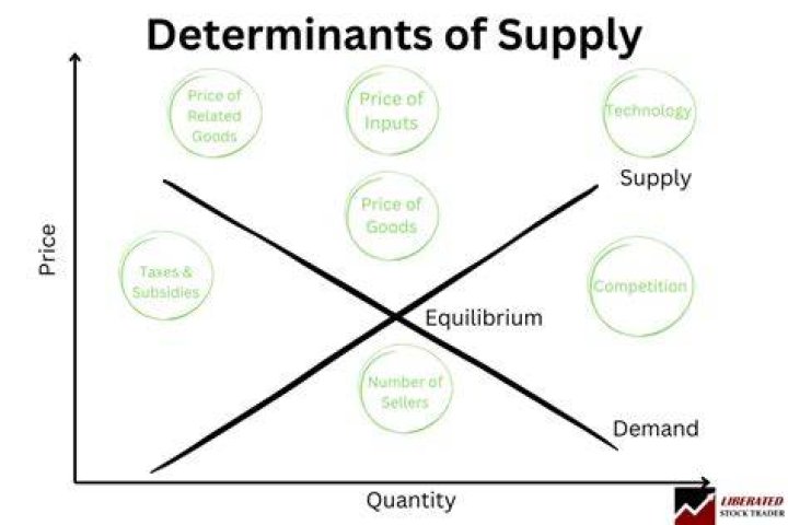 What are the 7 determinants of supply?