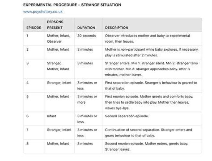 What are the 8 stages of the Strange Situation?