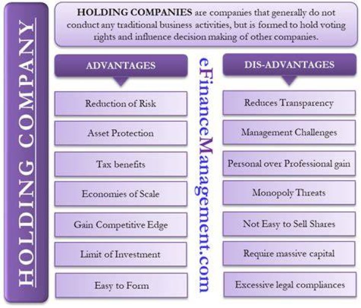 What are the advantage and disadvantage of holding companies?