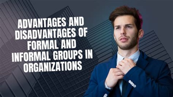 What are the advantages and disadvantages of a formal and informal organization?