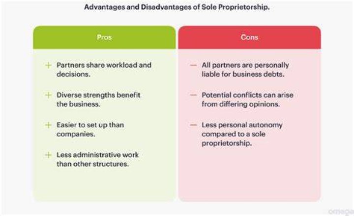 What are the advantages and disadvantages of a single proprietorship?