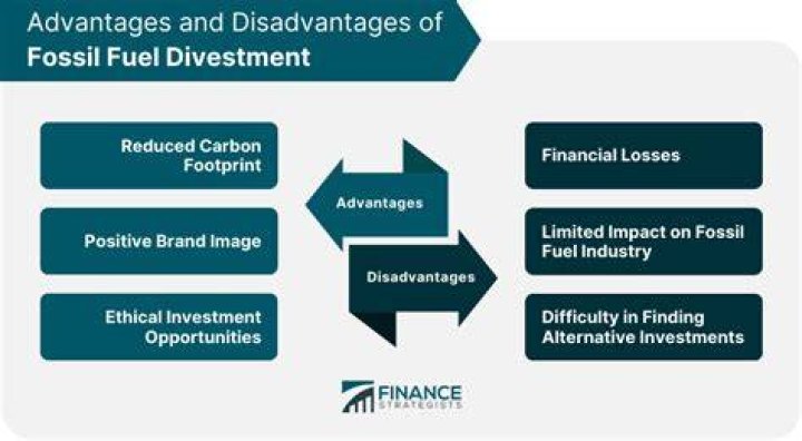 What are the advantages and disadvantages of divestment?