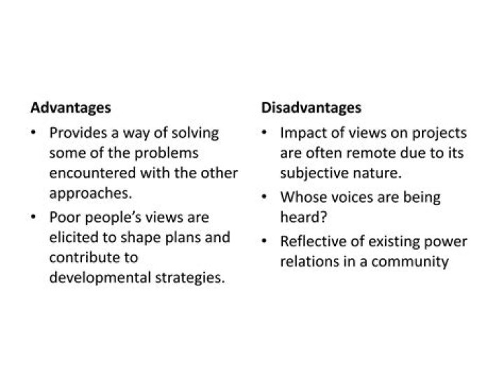 What are the advantages and disadvantages of participatory approach?
