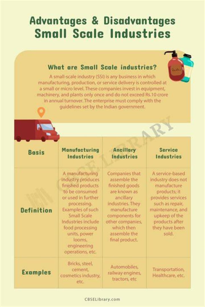 What are the advantages and disadvantages of small scale industry?