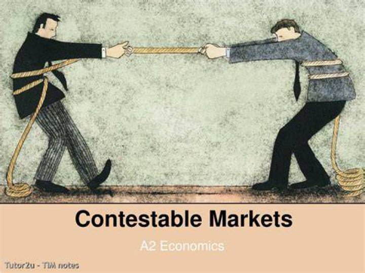 What are the assumptions of a contestable market?