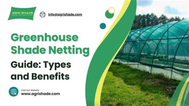 What are the benefits of netting?