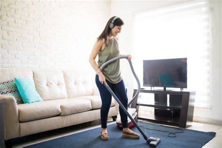 What are the benefits of vacuuming a cockroach?