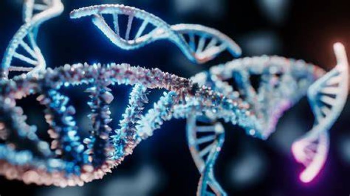 What are the best genome stocks?