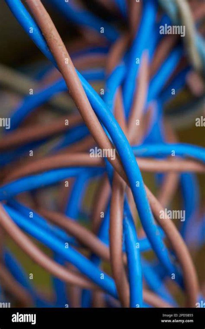What are the blue and brown wires?