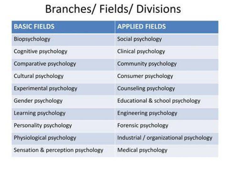 What are the branches of IO psychology?