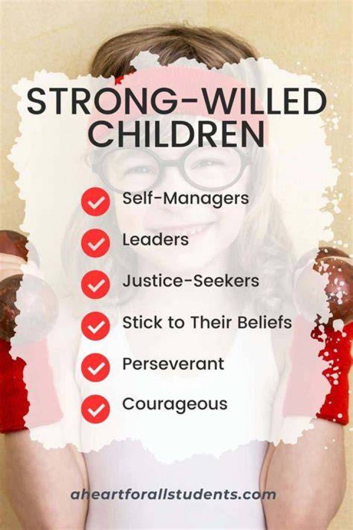 What are the characteristics of a strong willed child?