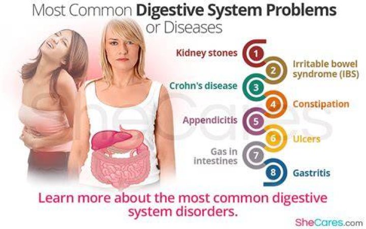 What are the common digestive problems?
