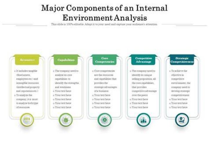 What are the components of environment analysis?