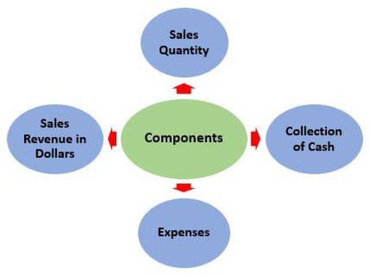 What are the components of sales budget?