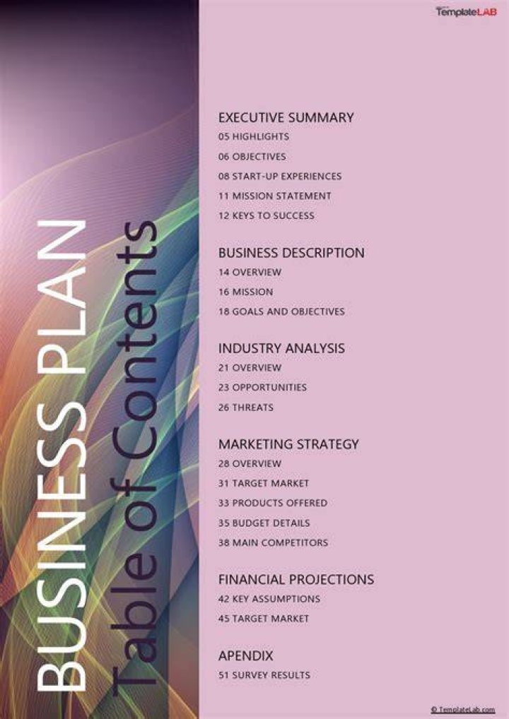 What are the contents of business plan?
