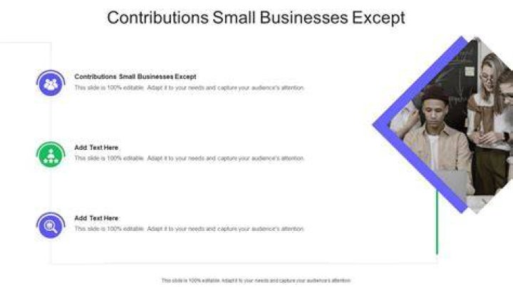 What are the contributions of small businesses?