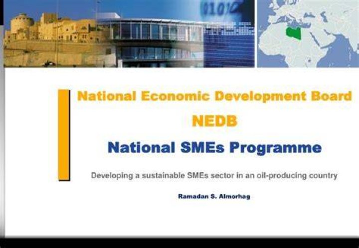 What are the contributions of SMEs to national and economic development?