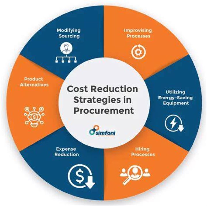 What are the cost reduction strategies?