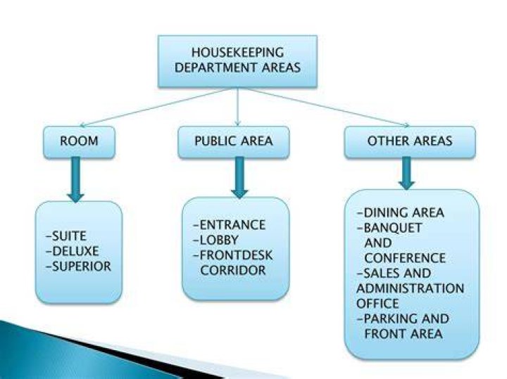 What are the different areas of housekeeping?