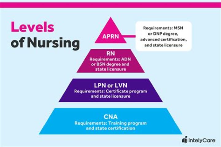 What are the different levels of nursing degrees?