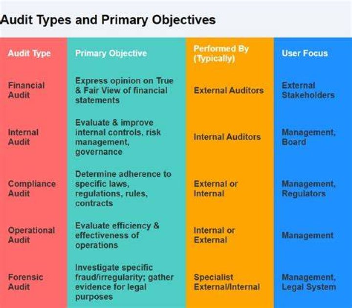 What are the different objectives of audit?